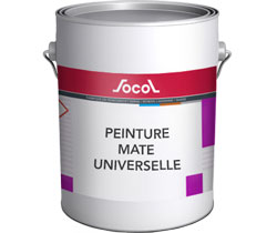 Pot de Peinture mate universelle